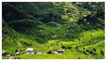 Province - A principal administrative division of a country or empire.