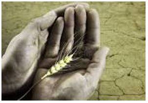 Starvation - Suffering or death caused by lack of food.