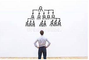 Delegations - A body of delegates or representatives.