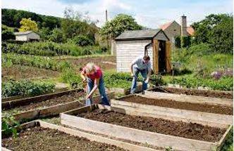 Allotting - A plot of land rented by an individual for growing vegetables or flowers.