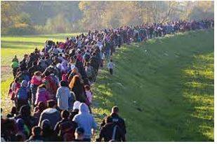 Migration - Movement from one part of something to another.