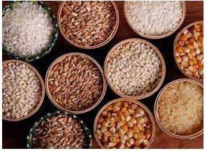 Provision - The action of providing or supplying something for use.