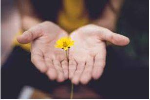 Granted - Used to admit that something is true, before saying something else about it.