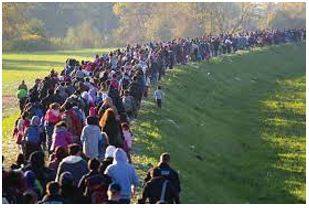 Migrate - Movement from one part of something to another.