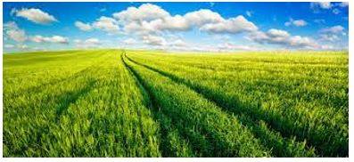 Vast - Of very great extent or quantity.