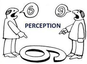 Perception - The ability to see, hear, or become aware of something through the senses.