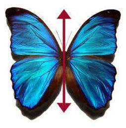Bilateral - Having or relating to two sides; affecting both sides.
