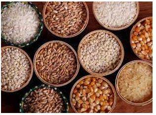 Provision - The action of providing or supplying something for use.