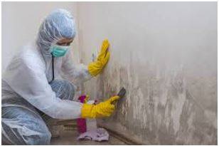 Remediated - To correct something that is wrong or damaged or to improve a bad situation.