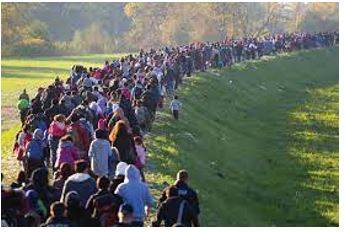 Migration - Movement from one part of something to another.