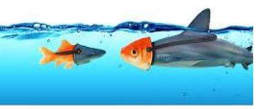 Deceptive - Giving an appearance or impression different from the true one.