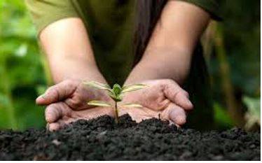 Conserved - To keep and protect something from damage, change, or waste.