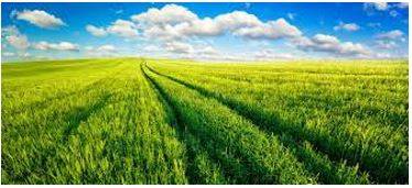 Vast - Of very great extent or quantity.