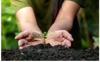 Conservation - To keep and protect something from damage, change, or waste.