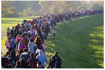 Migration - Movement from one part of something to another.