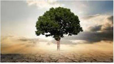 Thriving - Prosperous and growing.