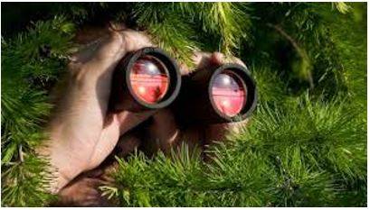 Reconnaissance - The process of getting information about enemy forces or positions by sending out small groups of soldiers or by using aircraft, etc.