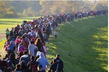 Migration - Movement from one part of something to another.