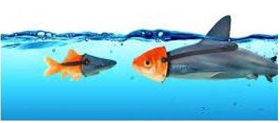 Deception - Giving an appearance or impression different from the true one.