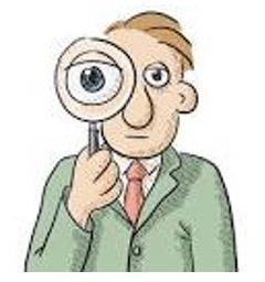 Scrutinize - Examine or inspect closely and thoroughly.