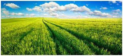 Vast - Of very great extent or quantity.