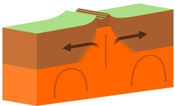 Divergence - Tending to be different or develop in different directions.