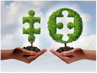 Affiliated - Connected with or controlled by a group or organization.