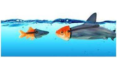 Deceptive - Giving an appearance or impression different from the true one.