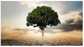 Thriving - Prosperous and growing.