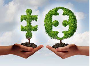 Affiliated - Connected with or controlled by a group or organization.
