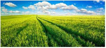 Vast - Of very great extent or quantity.