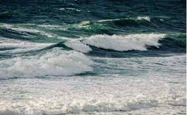 Surged - Increase suddenly and powerfully.