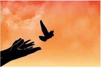 Liberate - Freed from or opposed to traditional social and sexual attitudes or roles.