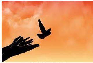 Liberate - Freed from or opposed to traditional social and sexual attitudes or roles.