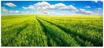 Vast - Of very great extent or quantity.