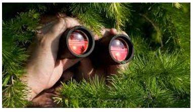 Reconnaissance - The process of getting information about enemy forces or positions by sending out small groups of soldiers or by using aircraft, etc.