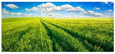 Vast - Of very great extent or quantity.