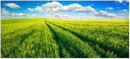 Vast - Of very great extent or quantity.
