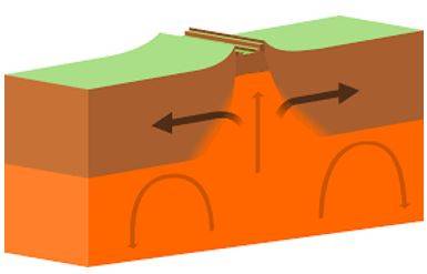 Divergent - Tending to be different or develop in different directions.