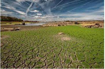 Degraded - The process of something becoming worse or weaker, or being made worse or weaker.