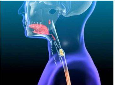 Swallowed - Cause or allow (something, especially food or drink) to pass down the throat.