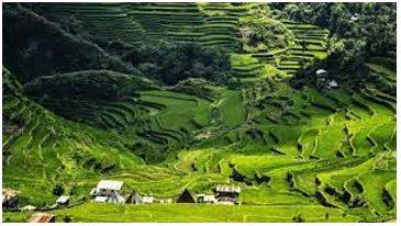 Provincial - A principal administrative division of a country or empire.