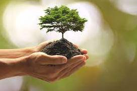 Prosperity - Successful in material terms