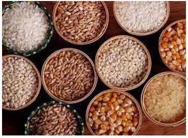Provision - The action of providing or supplying something for use.