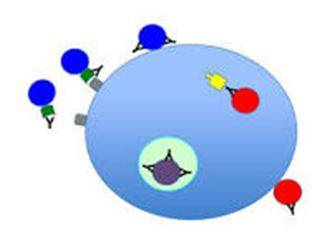 Neutralize - Make (something) ineffective by applying an opposite force or effect.