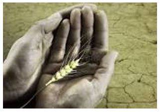 Starvation - Suffering or death caused by lack of food.