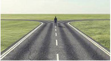 Bifurcation - The state of being divided into two branches or parts.