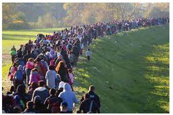 Migrating - Movement from one part of something to another.