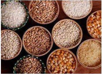 Provision - The action of providing or supplying something for use.