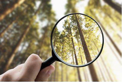 Explicitly - Stated clearly and in detail, leaving no room for confusion or doubt.